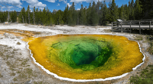 Morning Glory Pool - Yellowstone, Wyoming